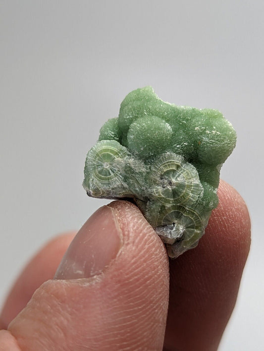 Amazing Wavellite - Fantastic 1990s Old Stock - Mauldin Mountain, Arkansas