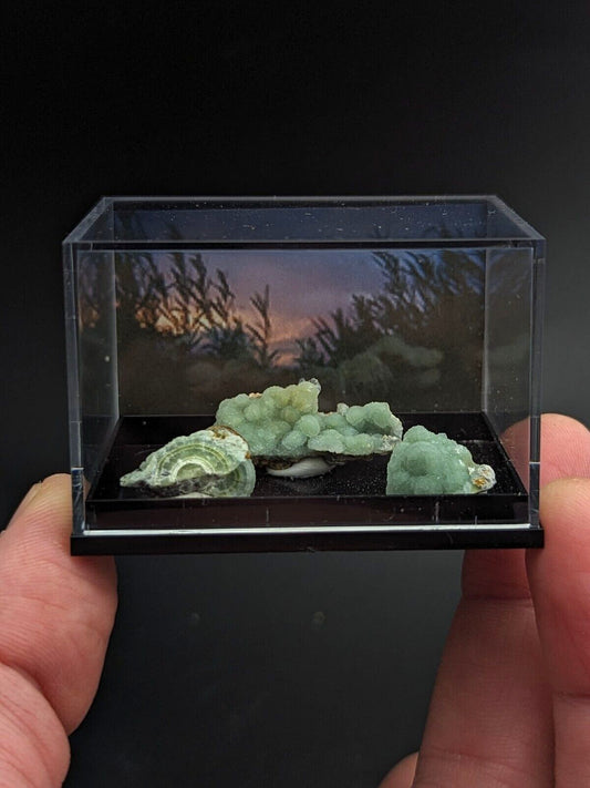 Wavellite - Unique Set of 3 w/ case - Old Stock - Mauldin Mountain, Arkansas