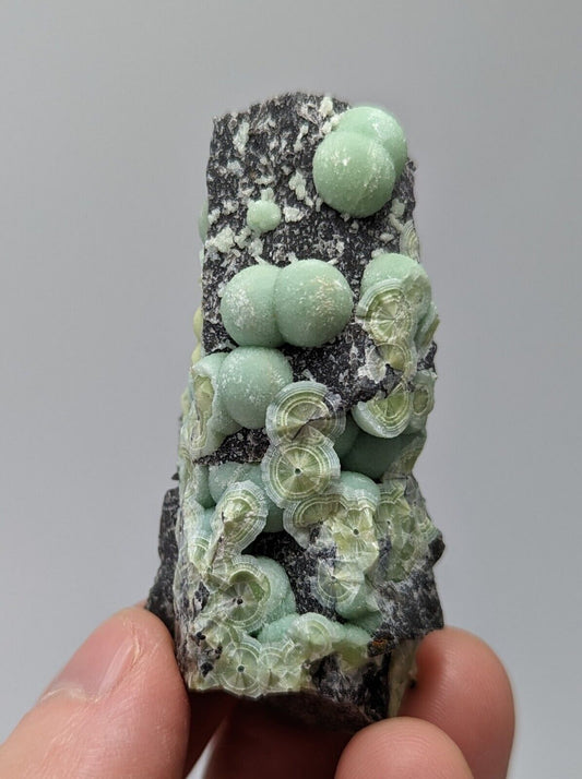 Wavellite - Fantastic 1990s Old Stock - Mauldin Mountain, Arkansas