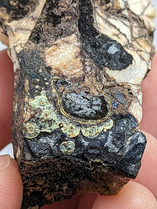 RARE KIDWELLITE ON BLACK ROCKBRIDGEITE, NOVACULITE -YORK MINE, POLK CO, ARKANSAS