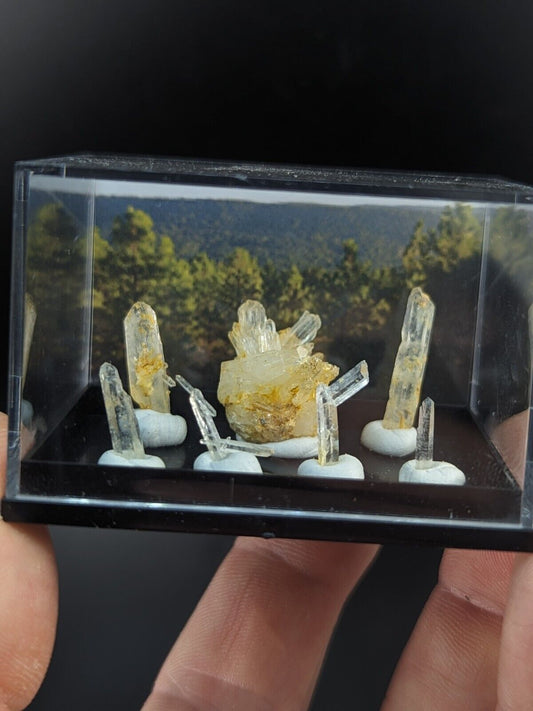 Rare Solution Quartz- Unique Set of 7 w/ case - Jeffrey Quarry, Arkansas