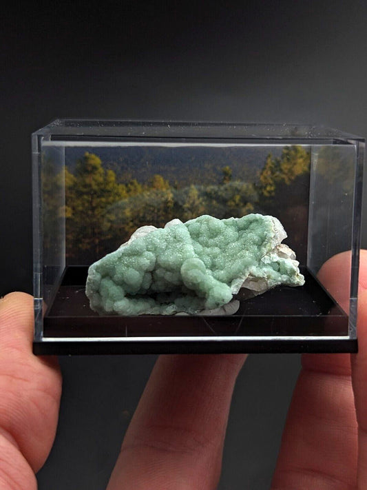 Wavellite - Unique Display w/ case - Old Stock - Mauldin Mountain, Arkansas