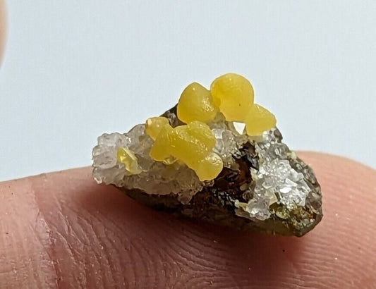 Greenockite Included Smithsonite on Sphalerite + Rush Creek Marion co, Arkansas