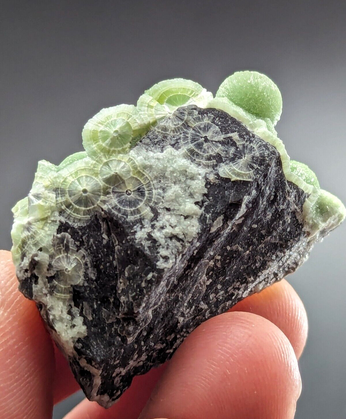 Amazing Wavellite - Fantastic Old Stock - Mauldin Mountain, Arkansas, ooak