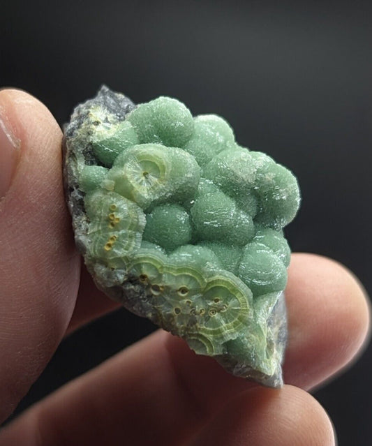 Amazing Wavellite on Quartz  - Fantastic Old Stock - Mauldin Mountain, Arkansas