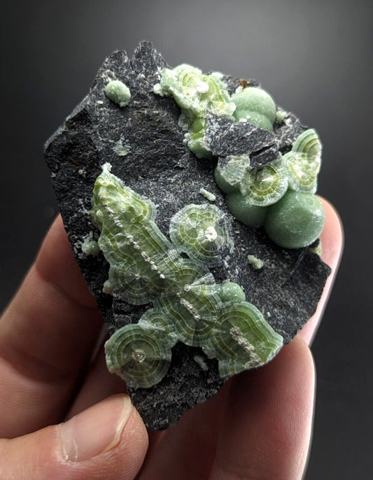 Wavellite - Fantastic Old Stock - Mauldin Mountain, Arkansas, ooak