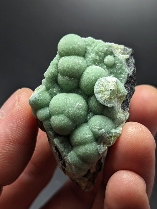 A+ Wavellite - Fantastic Old Stock - Mauldin Mountain, Arkansas, ooak