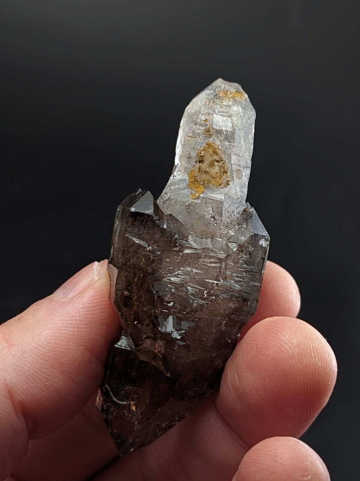 Shangaan Amethyst Scepter  Quartz Crystal from Chibuku Zimbabwe