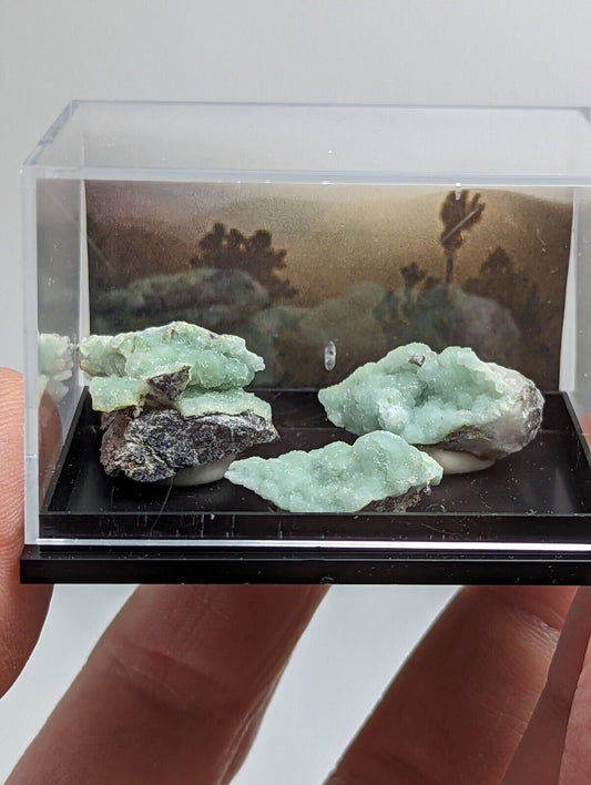 Wavellite - Unique Set of 3 w/ case - Old Stock - Mauldin Mountain, Arkansas