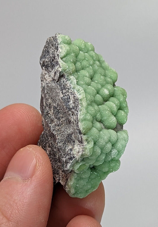 Wavellite Specimen - Rare 1990s Old Stock - Mauldin Mountain Arkansas