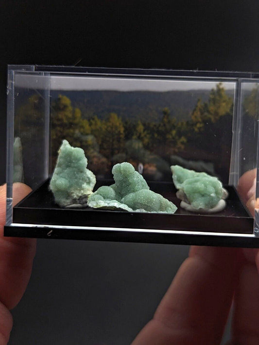 Wavellite - Unique Set of 3 w/ case - Old Stock - Mauldin Mountain, Arkansas